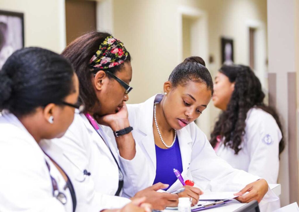 NS New Education Pillar IMPACT